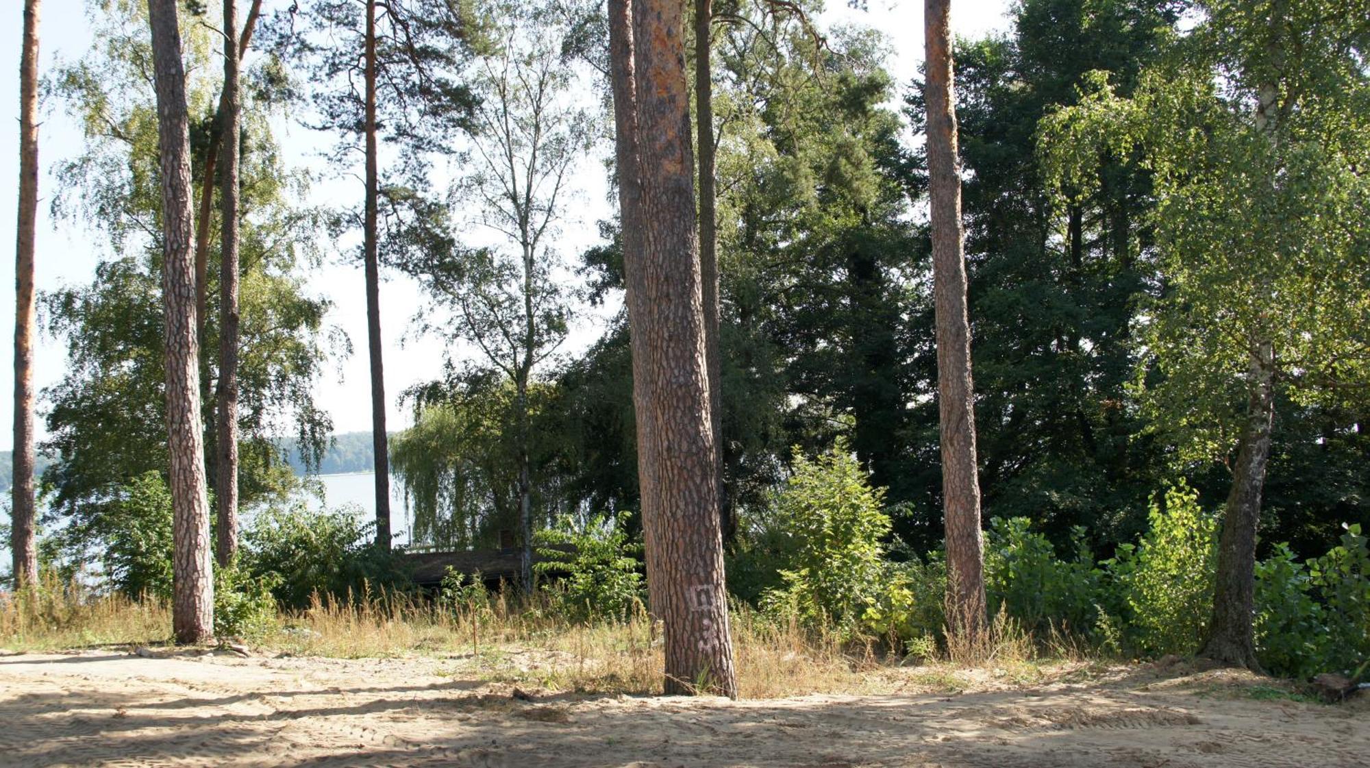 Marina Maisonette Seeblick Mit Pool Und Sauna Bad Saarow Bagian luar foto