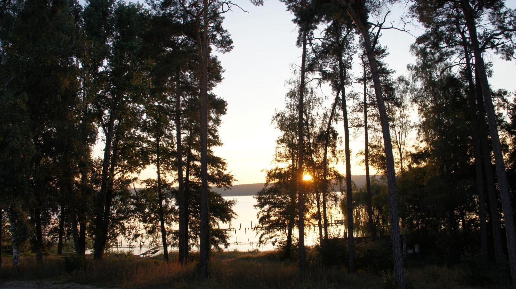Marina Maisonette Seeblick Mit Pool Und Sauna Bad Saarow Bagian luar foto
